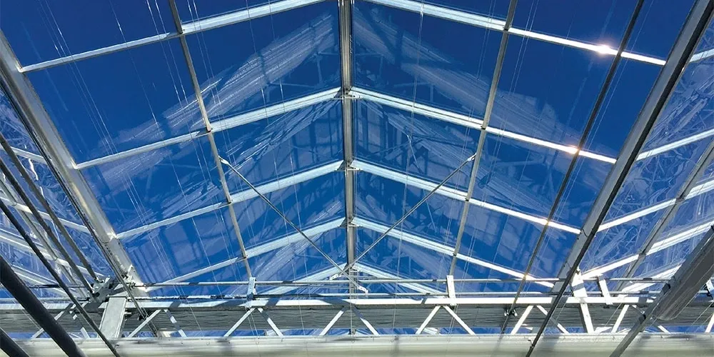 BEGREEN - Sealed Glass GH.webp