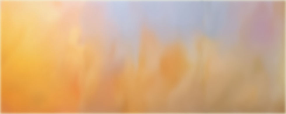 Combination of France and Canada_edited_edited_edited.jpg
