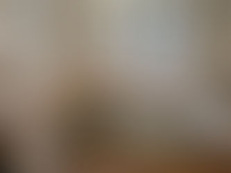 The year of the window / bench seat