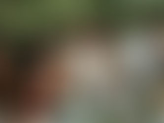 a newly married couple enjoying dinner at a table with their closest friends and family