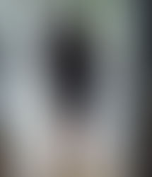 Johns Island Movers: A Higher Standard of Moving in Charleston, SC