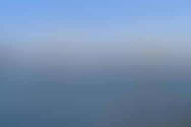 Best Neighborhoods in Charleston SC: Where to Call Home