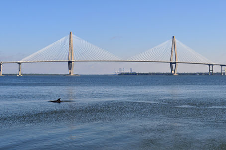 Best Neighborhoods in Charleston SC: Where to Call Home