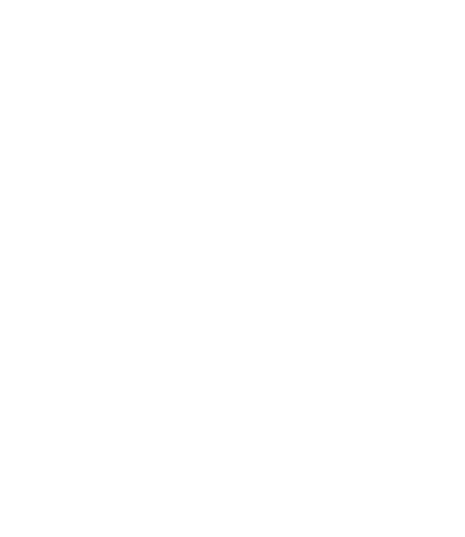 Flag Silhouette - white.png