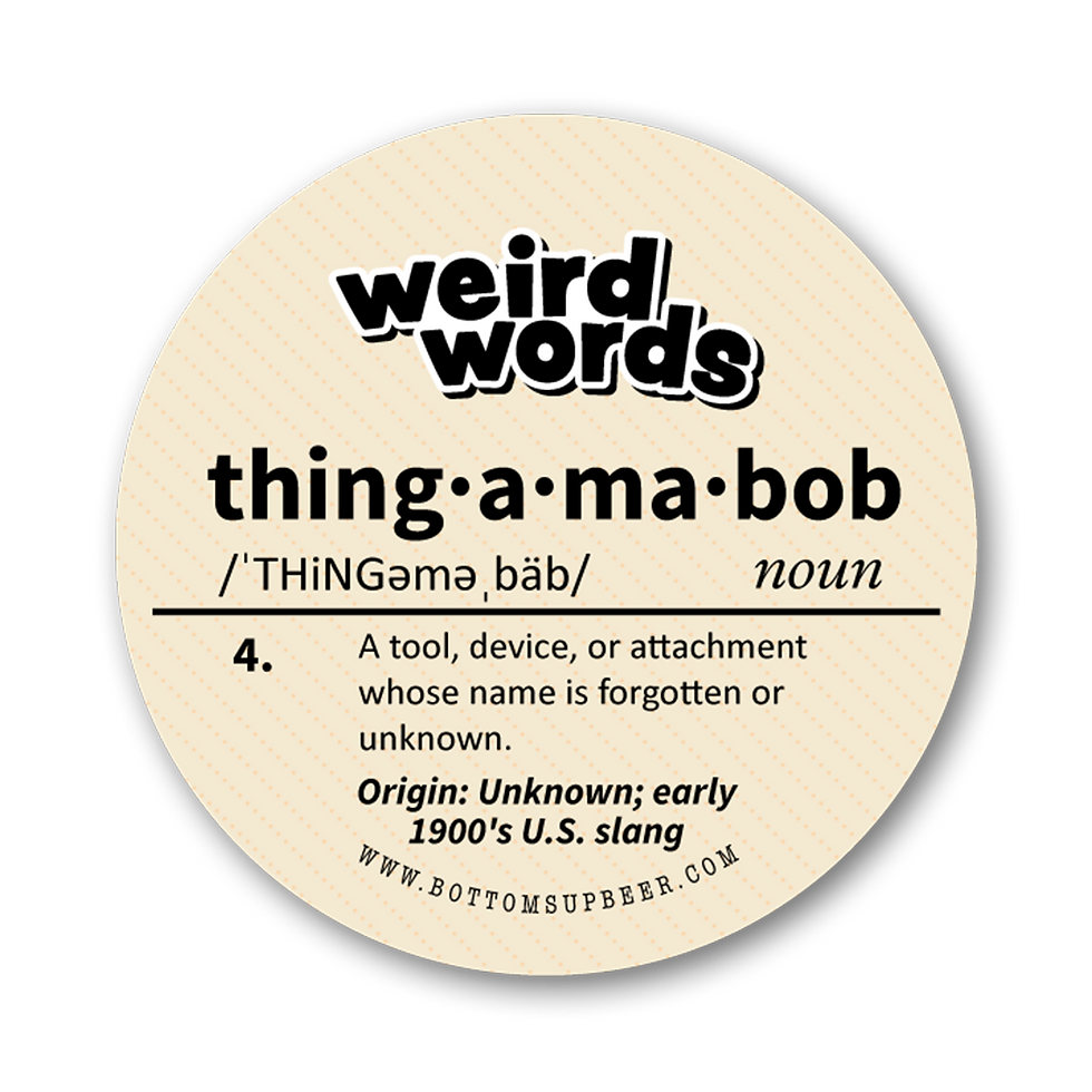 Thumbnail: Weird Words Set of 24 (120)