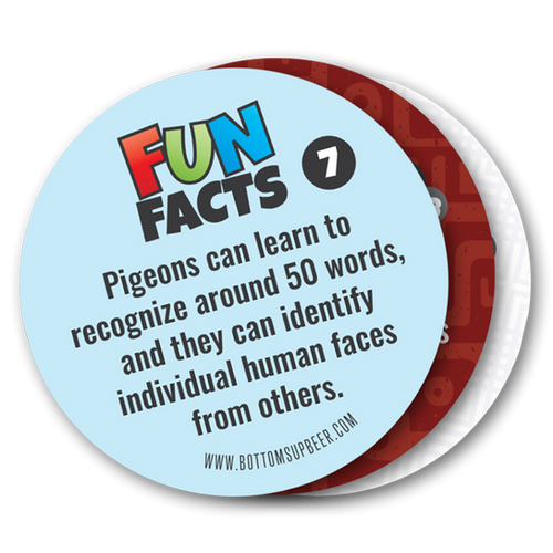 Fun Facts Vol. 1-3 Set of 72 (120) | BottomsUpBeer.com