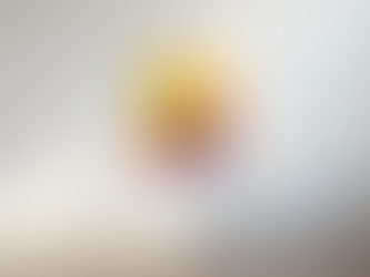 The Artworks Page of Hanz Human: Where First Editions and Rarity Begin