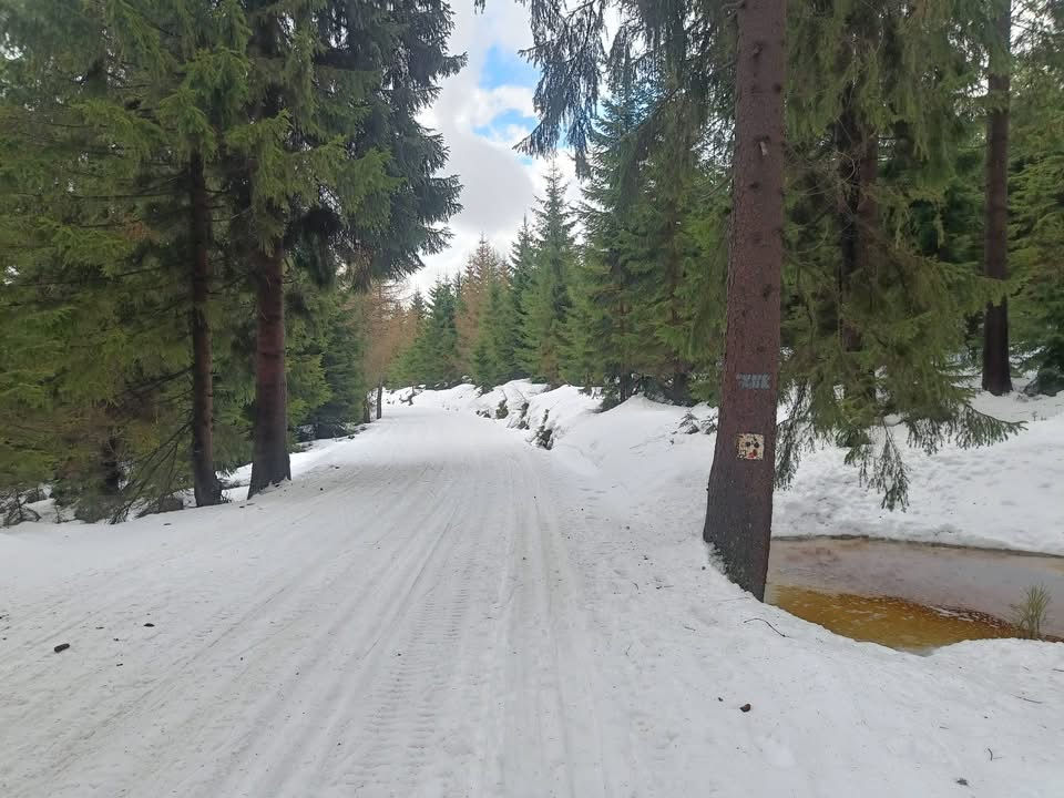 Jakuszyce