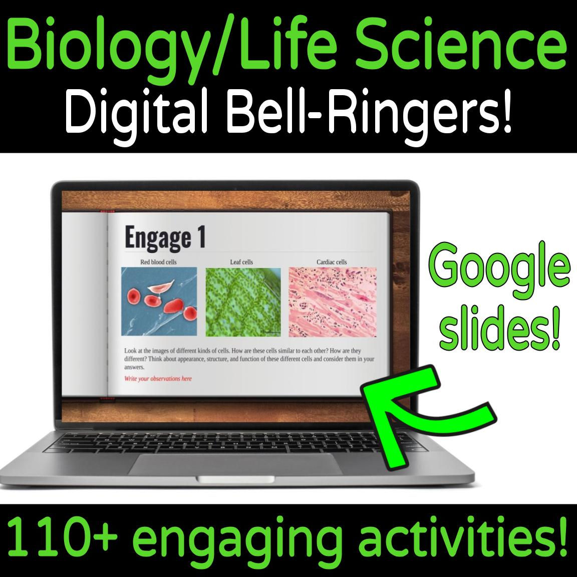 Digital Biology Bell-Ringers for the Year