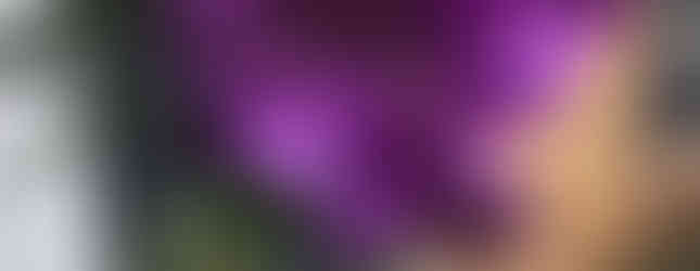 botanical garden flora