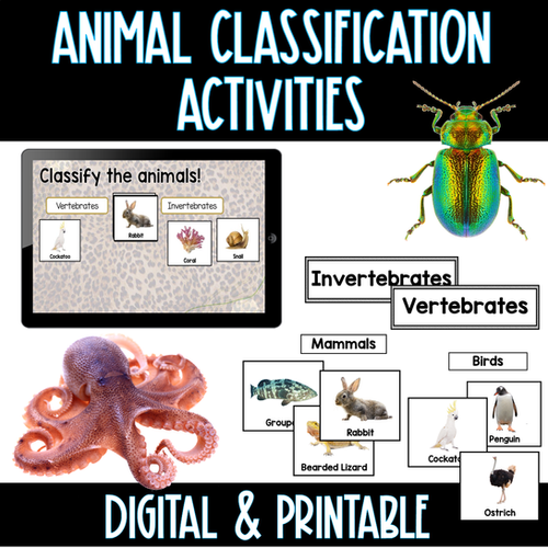 Animal Classification Activities Digital and Print mysite