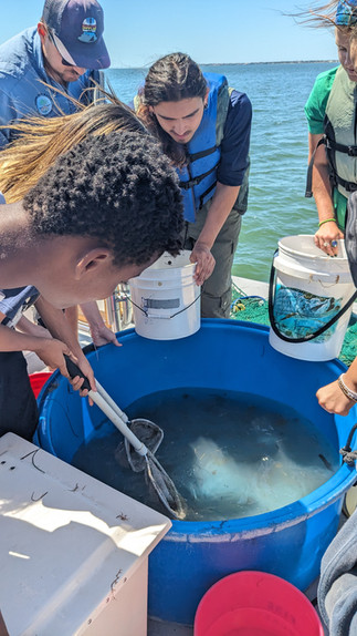 Science discovery center field trip for middle school