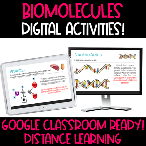 Biomolecules Digital Activities - Google Compatible | mysite
