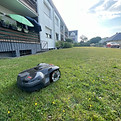 IMG_8671.jpeg