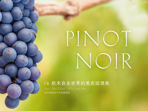 嘉義店|2025/10/24 (五) 南北半球黑皮諾16款壯遊酒展