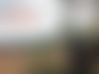 嘉義店｜ 2025/11/8 (六) Clos Lentiscus By Manel & Nuria Aviñó 泡泡人家族