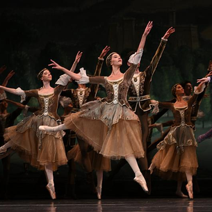 嘉義店｜2026/1/18 (日) 諸羅老饕的法式餐搭：芭蕾女伶酒莊 × 嘉義庶民食光