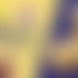 Packets of 222 and 333 Rice Papad with a bowl of papad in front. Text reads: "Understanding the shelf life of 222 Rice Papad." Navy and yellow background.