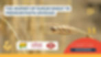 Poster with wheat stalk and cartoon pasta on a golden field background, reading The Journey of Durum Wheat to Premium Pasta Unveiled.