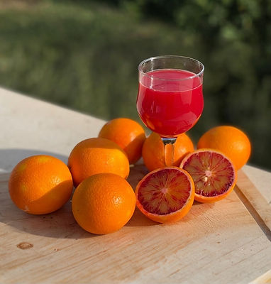 width_800 (6)_edited.jpg