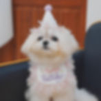 Thumbnail: Pet Accessories - Set of Pink Hat & Bib (P015)