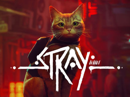 Review: Stray, the game