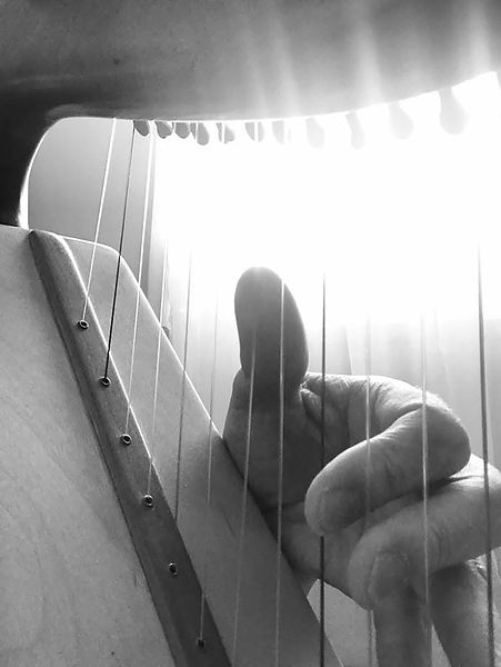 isobel and harp 4.jpeg