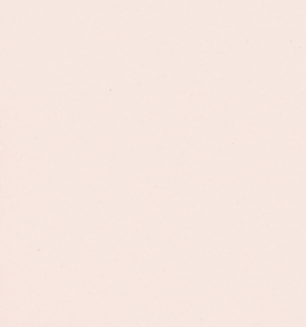 kiwihug-qv05FvdE26k-unsplash_edited_edit