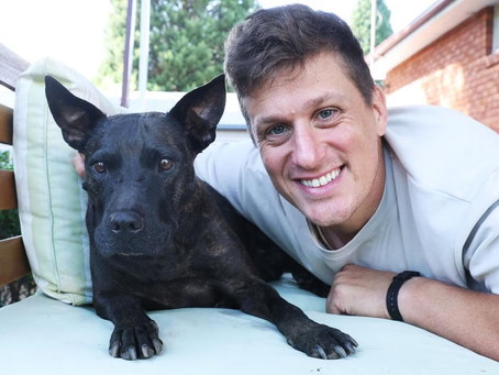 Un emprendedor australiano usó IA para crear una vacuna experimental que salve a su perro del cáncer