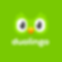 Ciberataque a Duolingo pone en riesgo a millones de usuarios