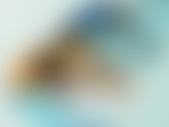 Infinix Mobility oficializa su llegada a Centroamérica y Caribe