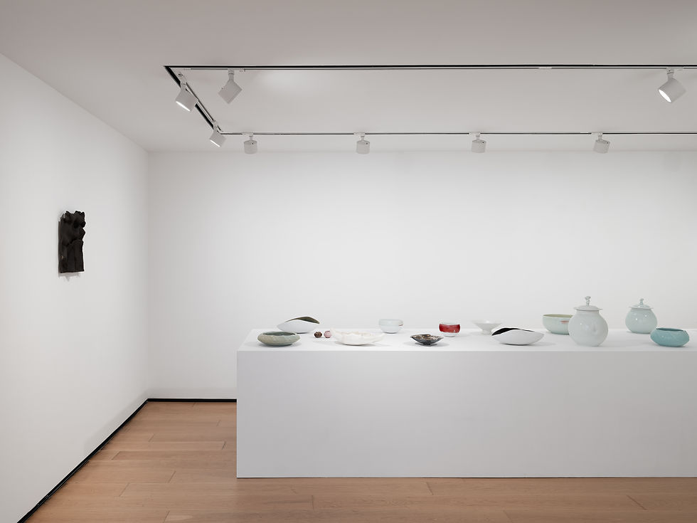 Installation view of ‘Liu Langqing:Shell’ , 14 March – 30 May, 2026. Courtesy of ZIAN Gall