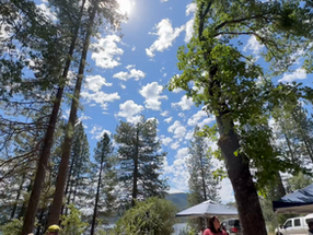 Annual Bass Lake Yosemite Ward Summer Activity