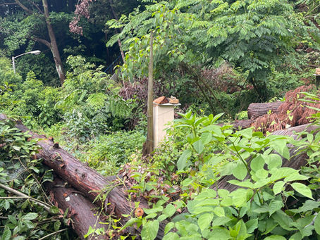 不思議だと思ったこと