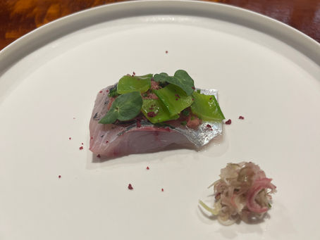 馳走西健一様　泳がせの鯵