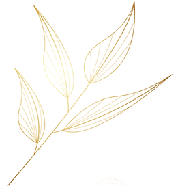 5.png