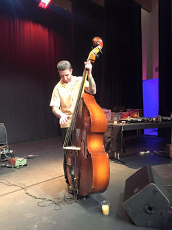 GENTHOD (CH) - 21 nov 2015 2