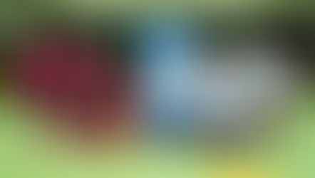 TEAM MyPromise: il CUS Padova nella campagna europea “Porta un amico a fare sport”!