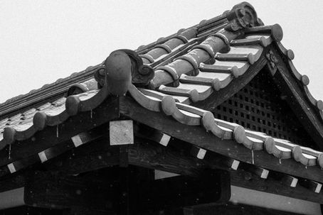 Pavilion roof at Friendship Garden in Idaho Falls