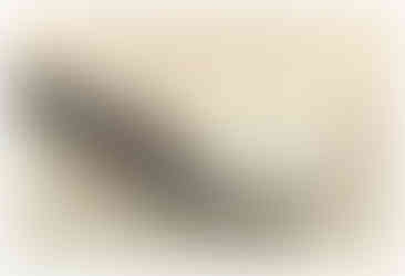 Black koi fish swimming in a current of blue water with kanji writing along the top of image