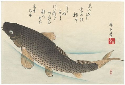 Black koi fish swimming in a current of blue water with kanji writing along the top of image