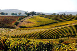 Toscana (9).jpg