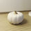 Miniature : Citrouille en jesmonite – Édition limitée automne