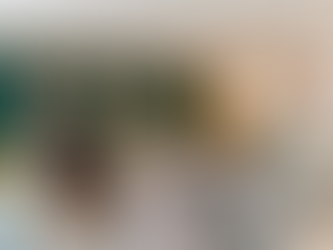 Discover Worthing’s Largest Riser Recliner Showroom