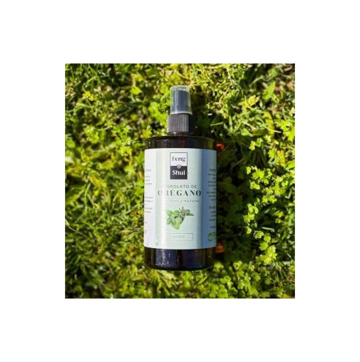 Hidrolato de Oregano - 100 CC FENG SHUI