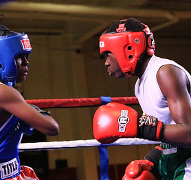 freedom fight boxing 