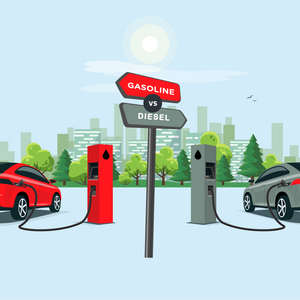 The Effect of Gasoline and Diesel Prices on Consumption in Canada