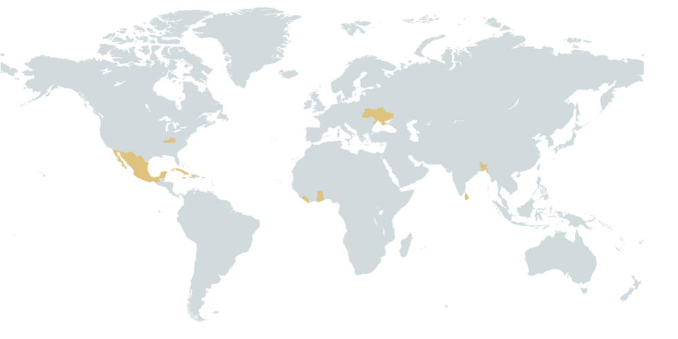 World Map (1).png