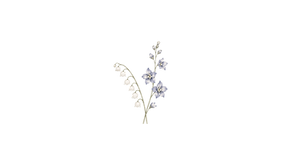 Untitled design (18).png