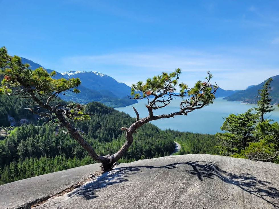View of the Howe Sound atop Murrin Park. The water is surrounded by mountains with the trees and the Sea to Sky highway in the foreground, and the tip of the rock showing from which the photographer stood.